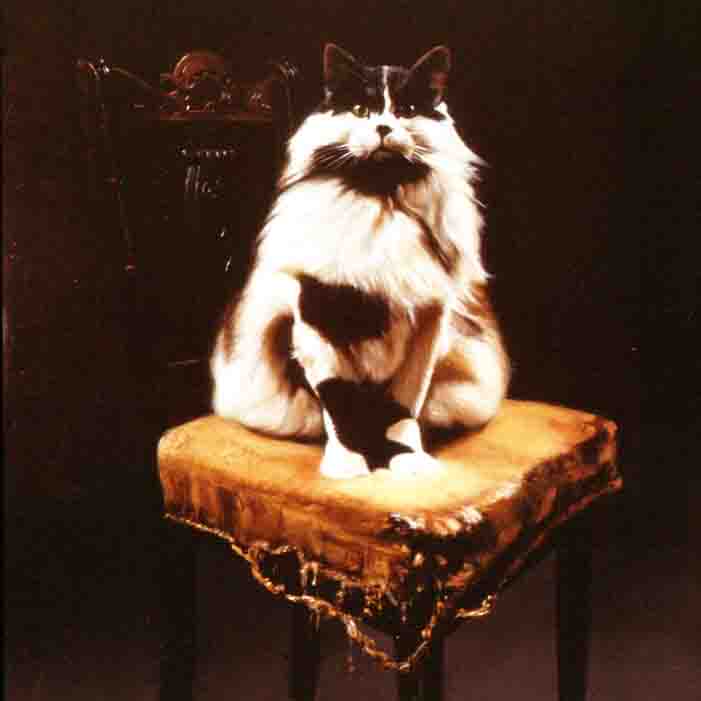 Originale von Michailidis